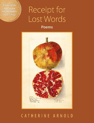 Cover image for Receipt For Lost Words