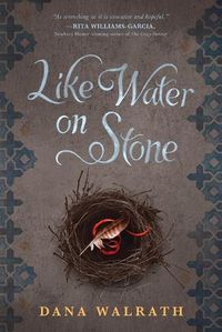 Cover image for Like Water on Stone