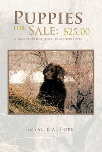 Cover image for Puppies for Sale