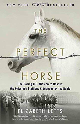 Cover image for The Perfect Horse: The Daring U.S. Mission to Rescue the Priceless Stallions Kidnapped by the Nazis