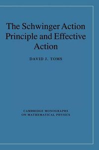 Cover image for The Schwinger Action Principle and Effective Action