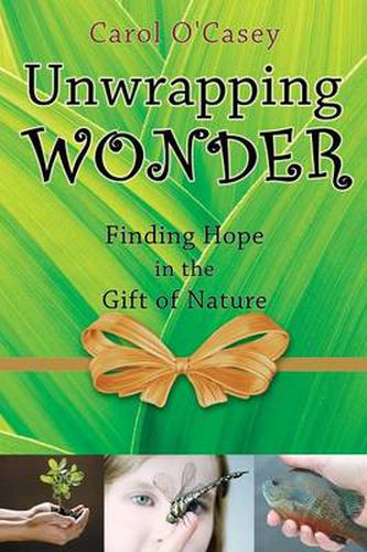Cover image for Unwrapping Wonder: Finding Hope in the Gift of Nature