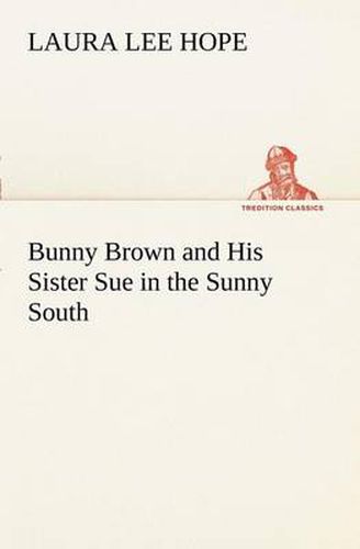 Cover image for Bunny Brown and His Sister Sue in the Sunny South