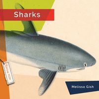 Cover image for Sharks