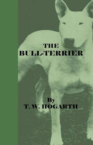 Cover image for The Bull-Terrier