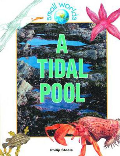 Cover image for A Tidal Pool