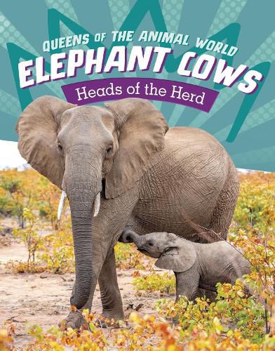 Cover image for Elephant Cows: Heads of the Herd