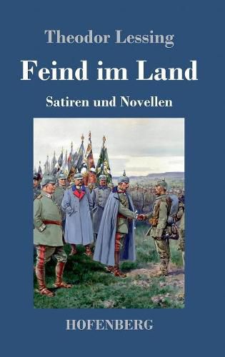 Cover image for Feind im Land: Satiren und Novellen