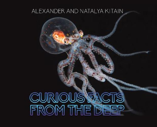 Cover image for Curious Facts from the Deep