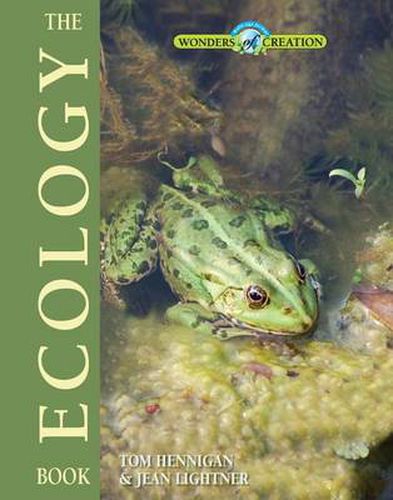 Cover image for The Ecology Book