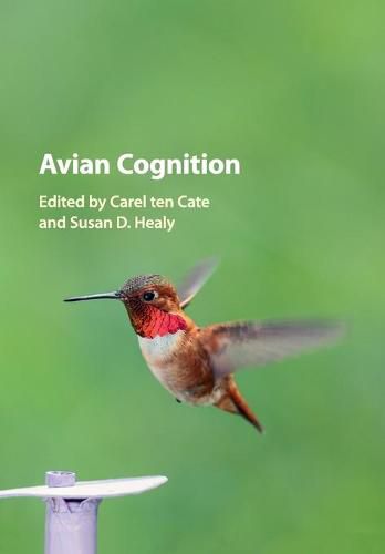 Cover image for Avian Cognition