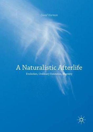 Cover image for A Naturalistic Afterlife: Evolution, Ordinary Existence, Eternity