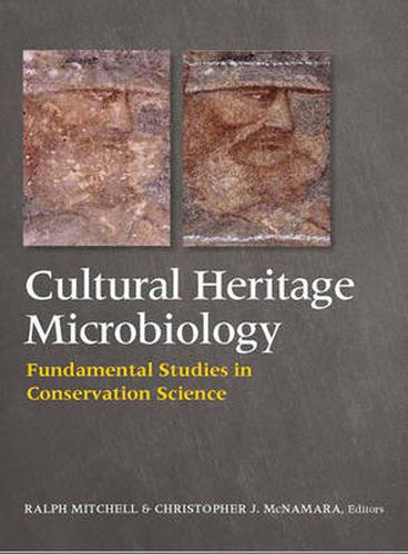 Cover image for Cultural Heritage Microbiology: Fundamental Studies in Conservation Science