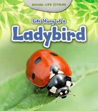 Cover image for Life Story of a Ladybird