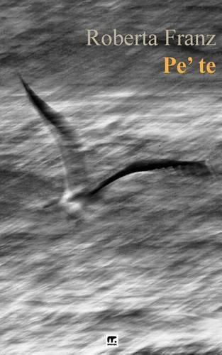 Cover image for Pe' te