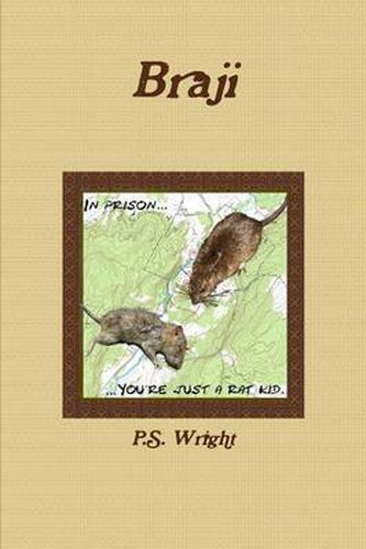 Cover image for Braji