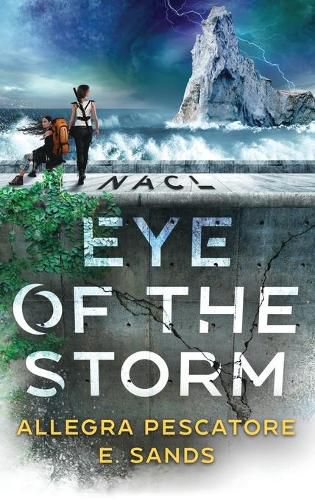 Cover image for Nacl: Eye of the Storm