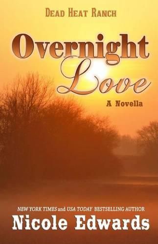 Overnight Love