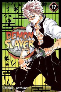 Cover image for Demon Slayer: Kimetsu no Yaiba, Vol. 17