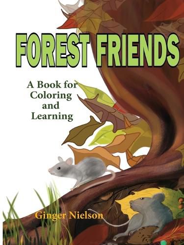 Cover image for Forest Friends: A book for coloring and learning