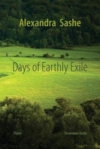 Cover image for Days of Earthly Exile