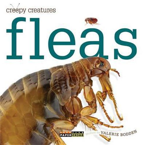 Cover image for Fleas