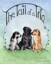 Cover image for The 'Tail' of a Trio