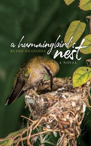 Cover image for A Hummingbird's Nest