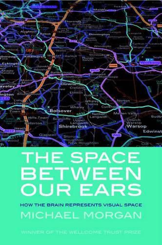 The Space Between our Ears: How the Brain Represents Visual Space