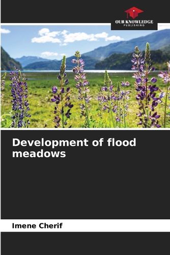 Cover image for Development of flood meadows