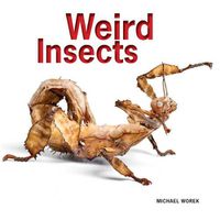 Cover image for Weird Insects