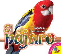 Cover image for El Pajaro