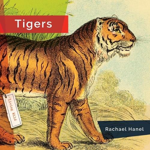 Tigers