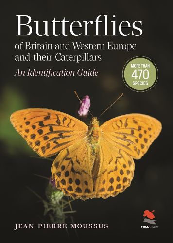 Cover image for Butterflies of Britain and Western Europe and Their Caterpillars