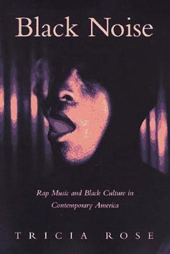 Cover image for Black Noise