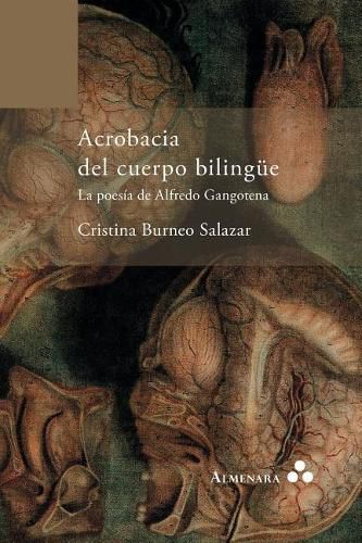 Cover image for Acrobacia del cuerpo bilingue. La poesia de Alfredo Gangotena