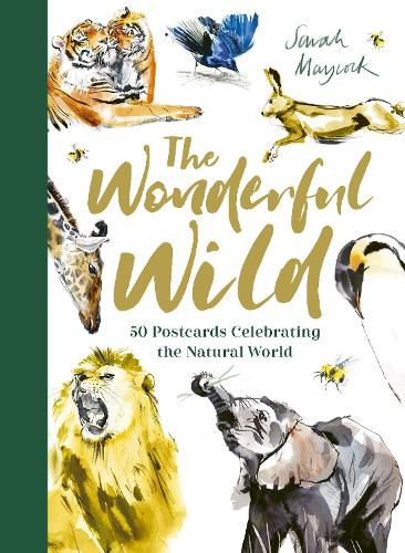 Cover image for The Wonderful Wild