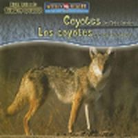 Cover image for Coyotes Are Night Animals / Los Coyotes Son Animales Nocturnos