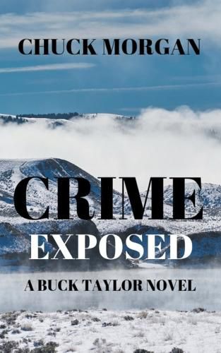 Cover image for Crime Exposed