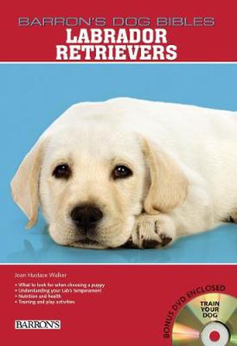 Cover image for Labrador Retrievers