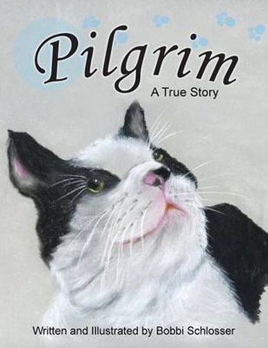 Cover image for Pilgrim: A True Story