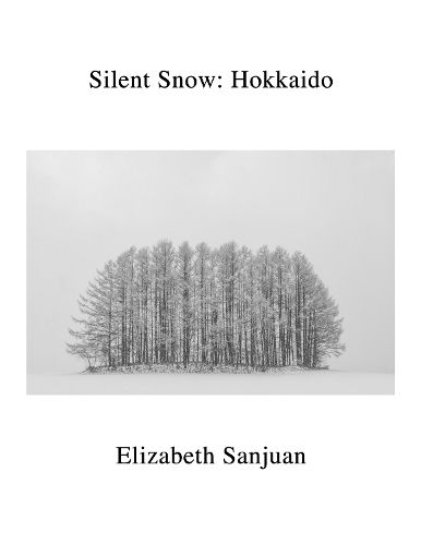 Cover image for Silent Snow