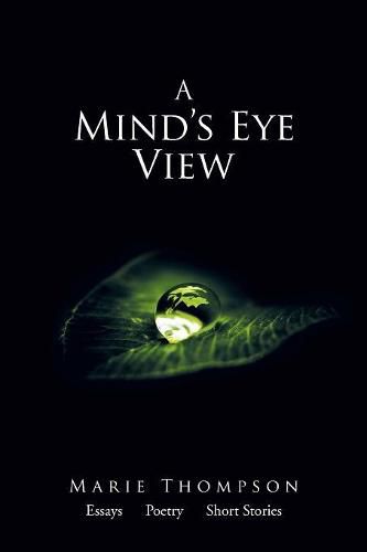 Cover image for A Mind's Eye View