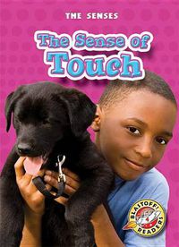 Cover image for The Sense of Touch