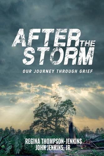 Cover image for After The Storm: Our Journey through Grief