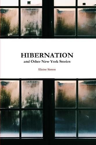 Cover image for Hibernation and Other New York Stories