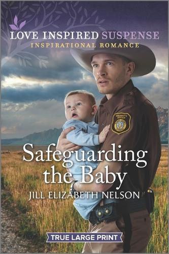 Cover image for Safeguarding the Baby