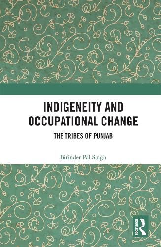 Cover image for Indigeneity and Occupational Change: The Tribes of Punjab