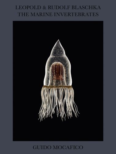 Cover image for Guido Mocafico: Leopold & Rudolf Blaschka. The Marine Invertebrates