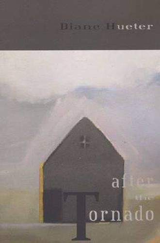 Cover image for After the Tornado